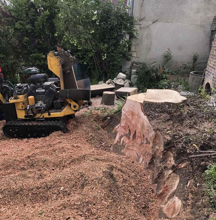 Service d'élagueur Villemoisson-sur-Orge