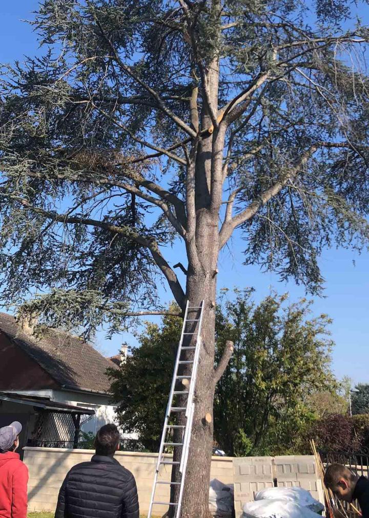 Paysagiste-conseil Villemoisson-sur-Orge