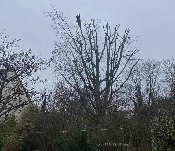 Paysagiste-conseil Villemoisson-sur-Orge