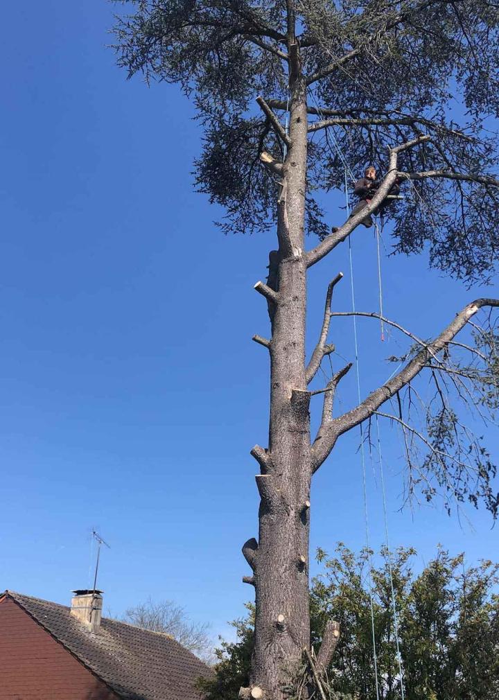 Aménagement de jardin Villemoisson-sur-Orge