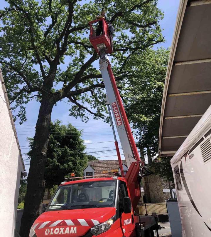 Service d'élagueur Villemoisson-sur-Orge